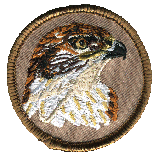 2 inch round embroidered WB patrol patch Hawk / Falcon